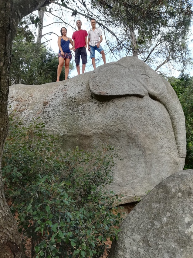 ../Downloads/elefant-socis.jpeg