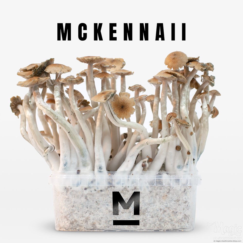 McKennaii.jpeg
